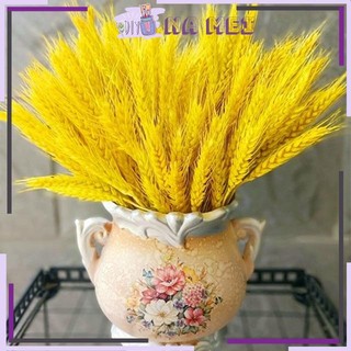 Bông Lúa Mạch Khô Décor Sét 100 Bông
