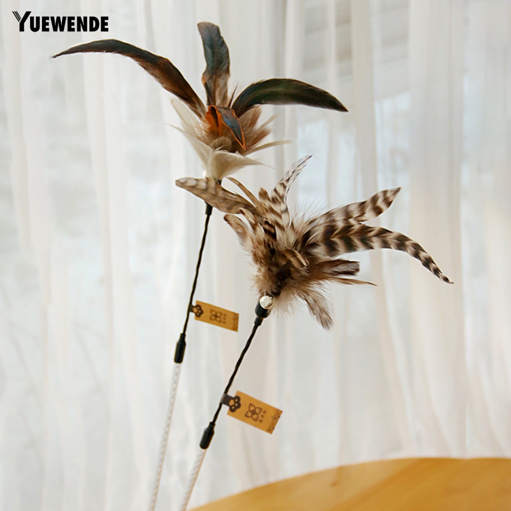 Gậy Trêu Mèo Có Thể Tái Sử Dụng Tiện Dụng