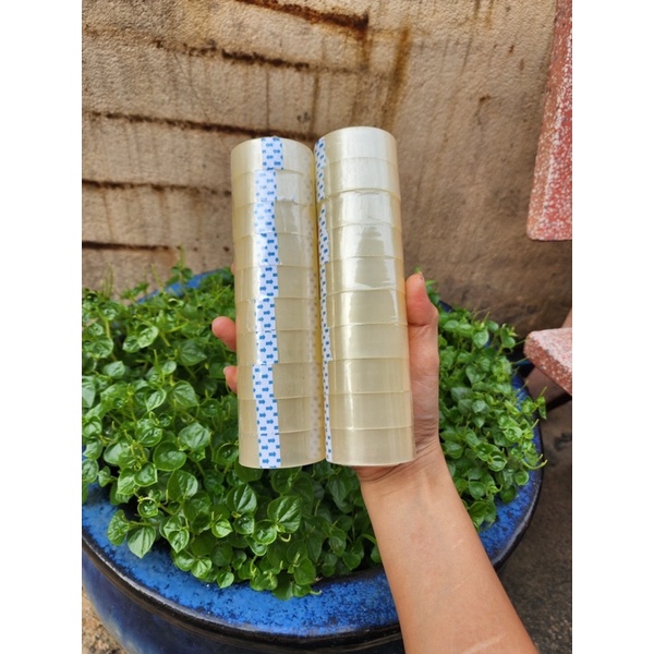 BĂNG KEO CUỘN 1 CÂY 10 CUỘN
