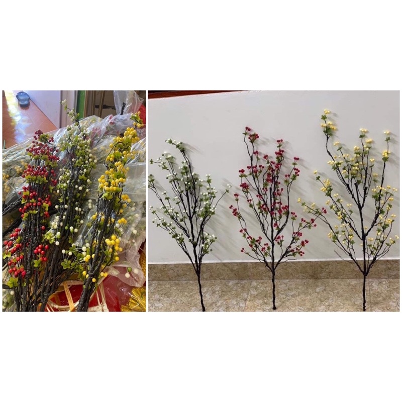 Cành cherry cổ