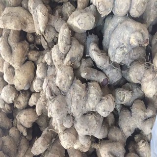 Củ Ngải Đen tươi 1kg (Hàng thượng hạng)