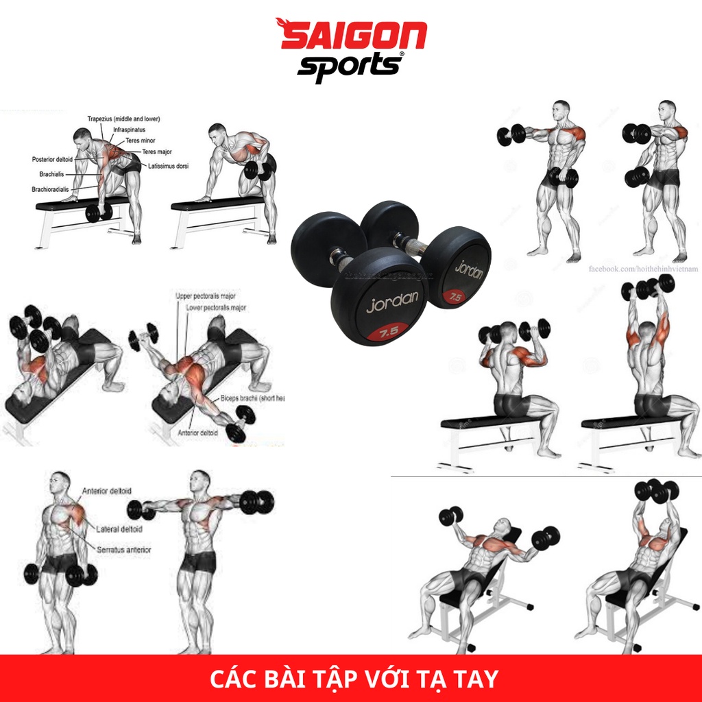 Bộ 2 tạ tay tập Gym 7,5kg nhập khẩu Jodan lõi thép bọc cao su cao cấp. Tạ đơn tập tay đa năng - SAIGON SPORT