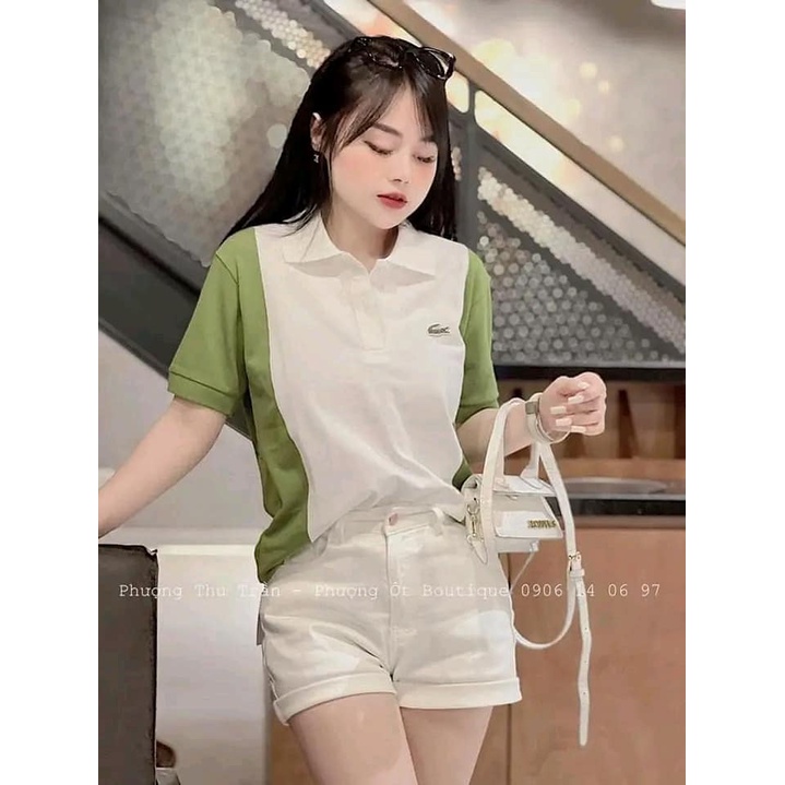 Áo thun polo form rộng giấu quần tay con