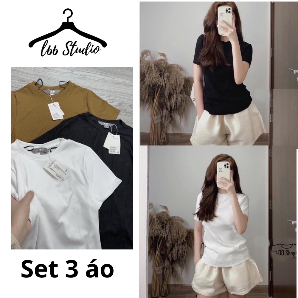 Set 3 áo thun nữ L66 len tăm form ôm siêu đẹp màu nâu đen trắng lên dáng cực sang chảnh dễ phối đồ A049