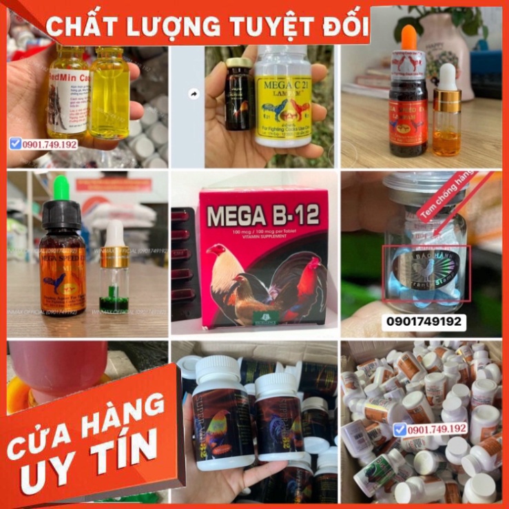 Mega C21 Lampam Thái  cho gà đá cứng cáp, mau đủ pin hủ 100 viên