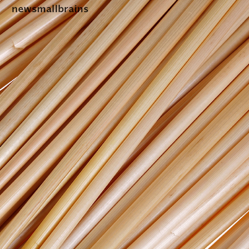 Set 100 Túi Rơm Lúa Mì 20CM Thân Thiện Với Môi Trường