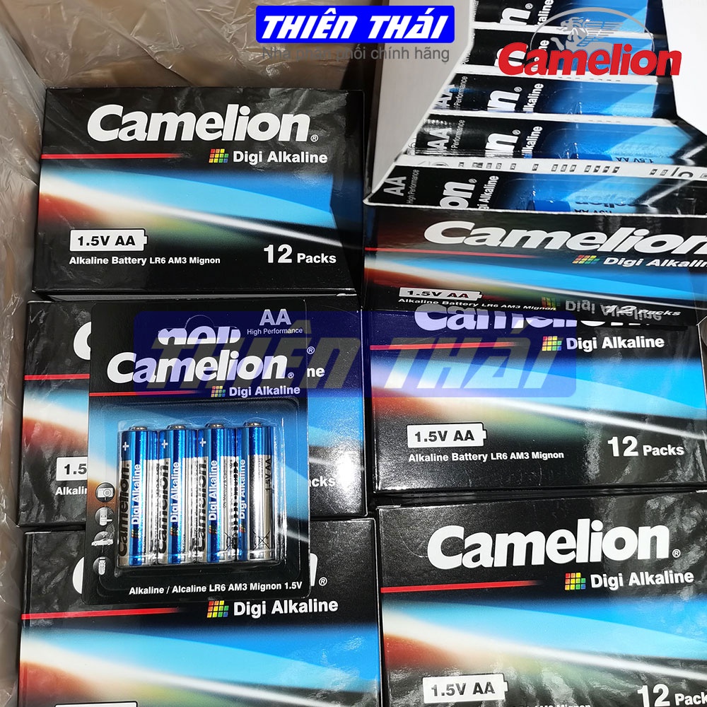 Pin tiểu Camelion,pin đũa Camelion,pin kiềm,pin alkaline,pin 1.5V.pin AA alkaline,pin AAA,pin LR6,pin LR03