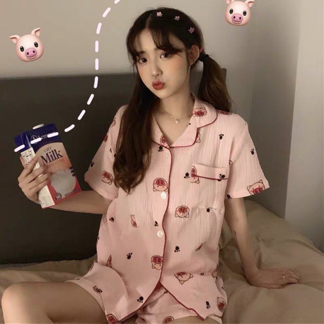 (Order 7-10 ngày) Bộ quần áo pijama lợn ỉn (kèm ảnh thật)