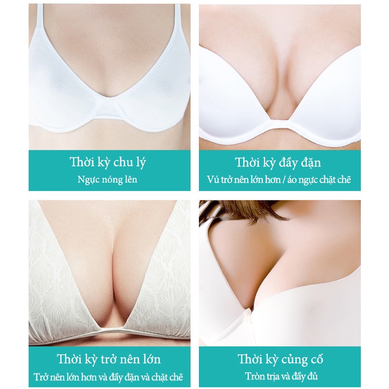 Kem nở ngực tinh chất nở ngực thành phần nở ngực tự nhiên chống ngực chảy xệ to ngực hiệu quả
