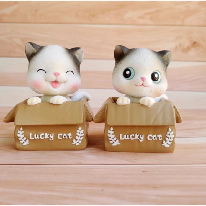 mèo LUCKY nhắm mắt