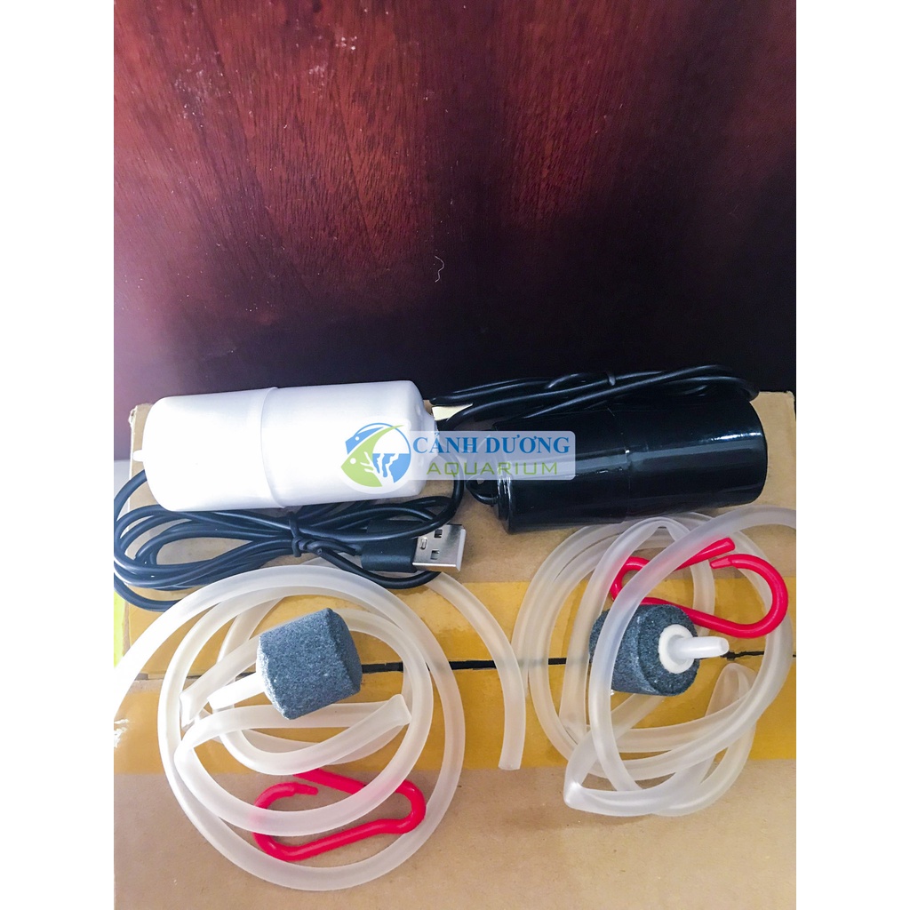 Sủi mini siêu êm 1 vòi-  Máy sục oxy câu cá- Sủi kết nối USB