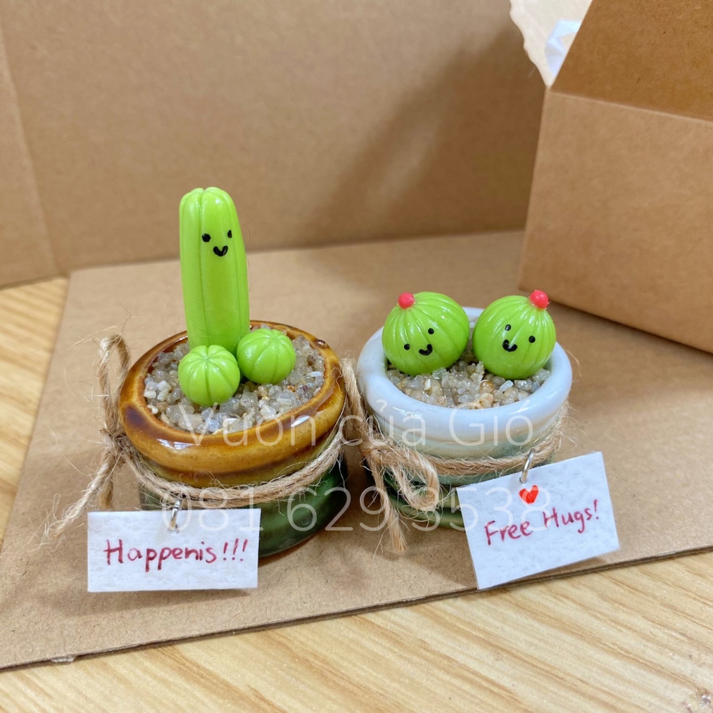 Quà tặng bạn trai, chậu xương rồng mini Cắc Tút