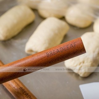 CÂY GỖ CÁN BỘT  30 CM - BREADLEAF