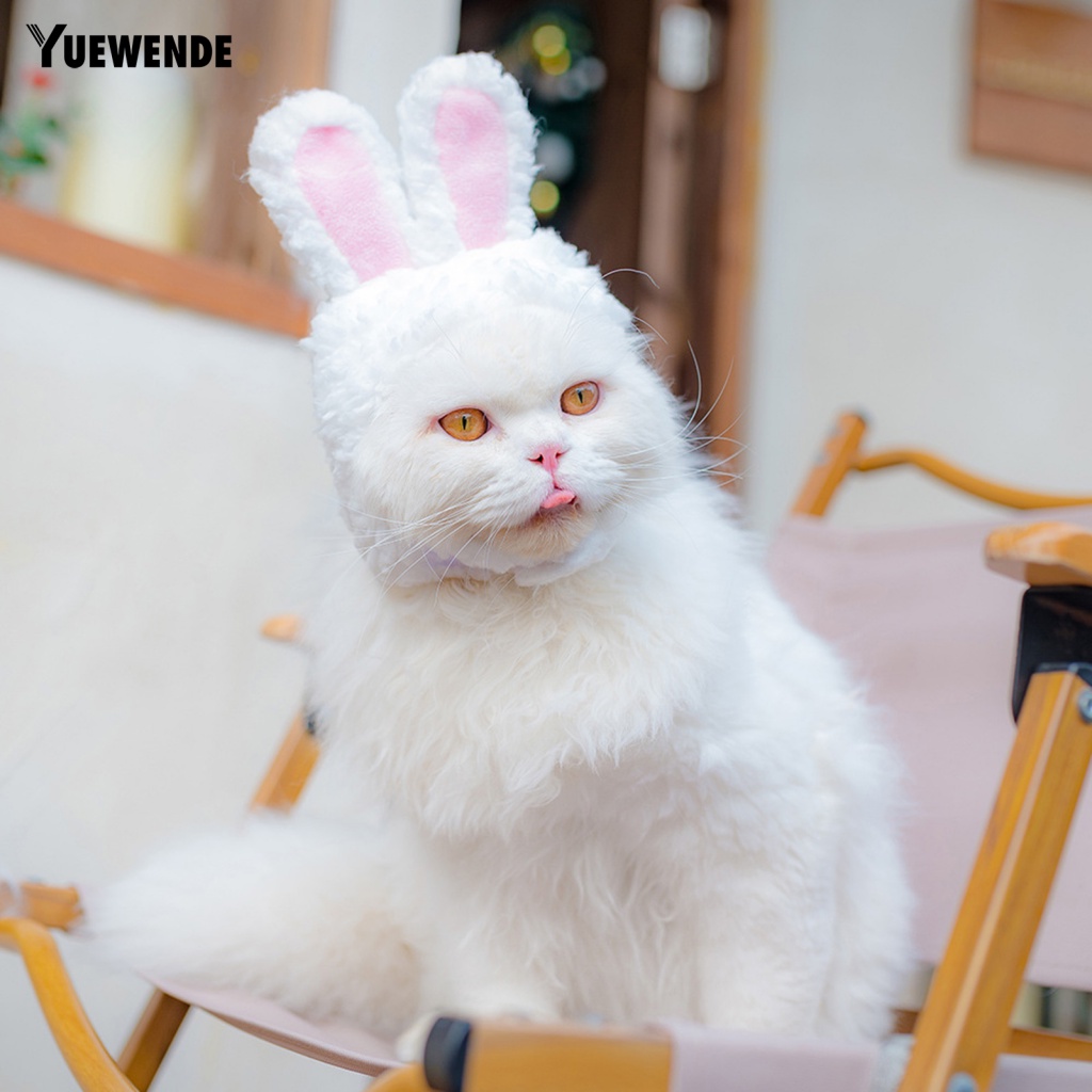 Mũ Cotton Tai Thỏ Hoạt Hình Đáng Yêu Cho Thú Cưng