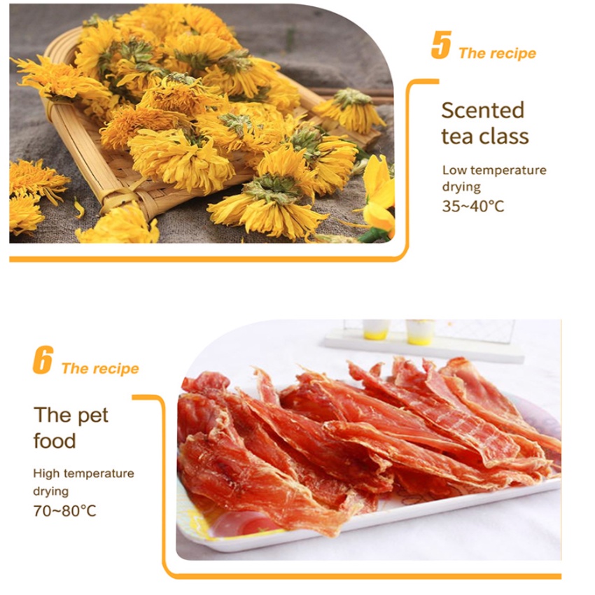 Máy sấy thực phẩm và hoa quả 6 khay FD-06, công suất 600W - Bảo Hành 12 Tháng