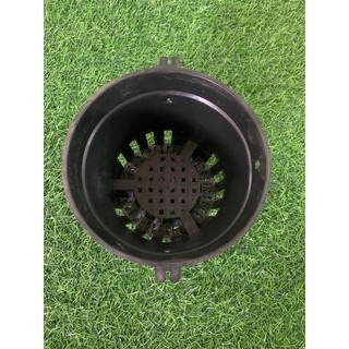 Chậu nhựa trồng lan (phi 16 ít lỗ set 20 cái)
