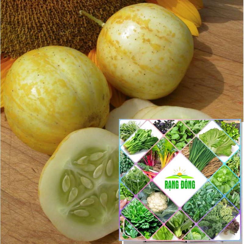 Hạt giống dưa chuột chanh Lemon - (10 hạt)