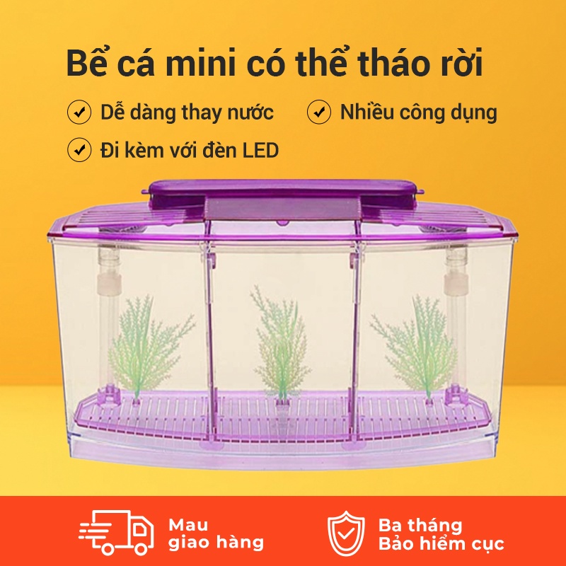 Bể cá mini 2/3 ngăn rời, bể cá nhỏ có đèn led, bể cá betta, có cát đáy và cỏ nhân tạo, giao hàng nhanh tận nơi