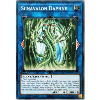 Sunavalon Daphne |EN| Common