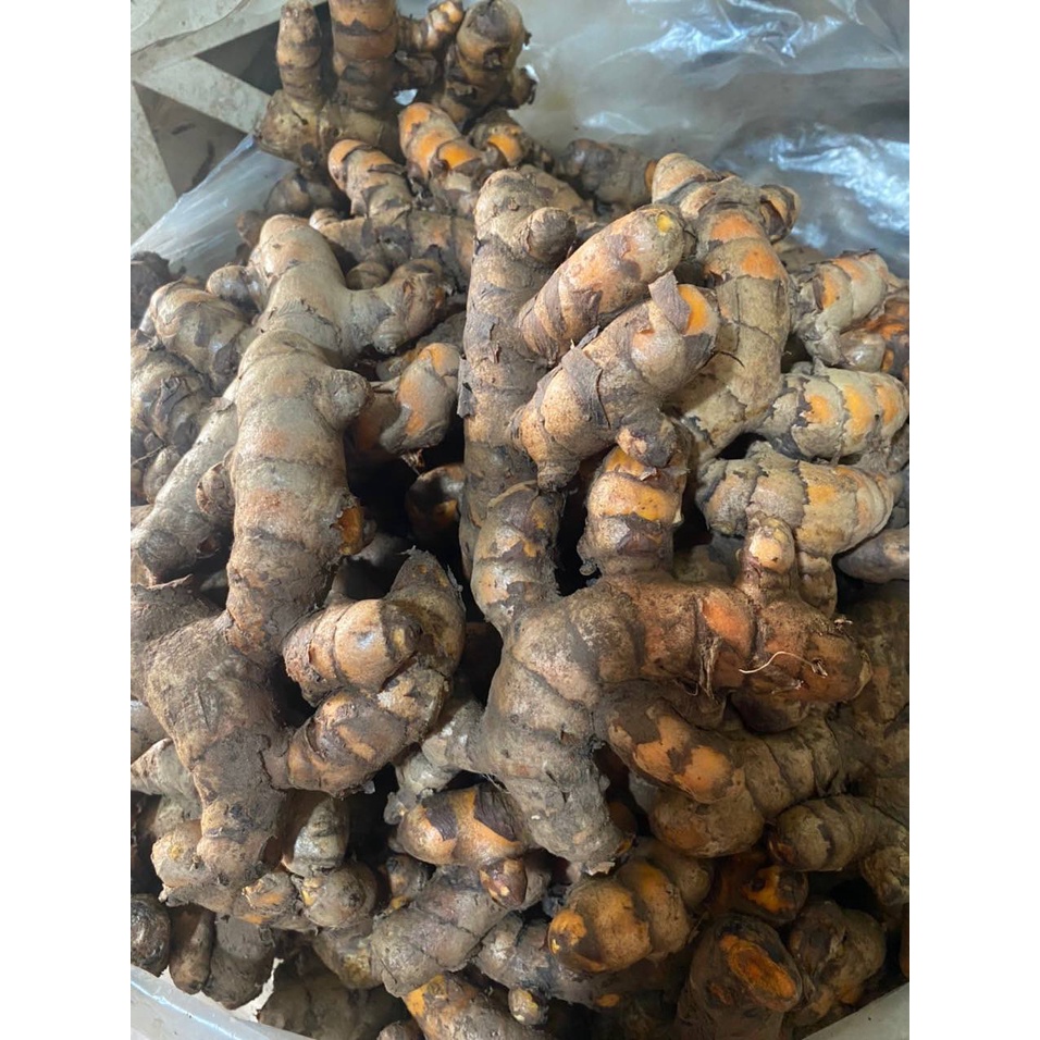 Nghệ Tay Loại 1 - 1KG - Củ Nghệ Dùng Trong Nấu Ăn, Nấu Phở