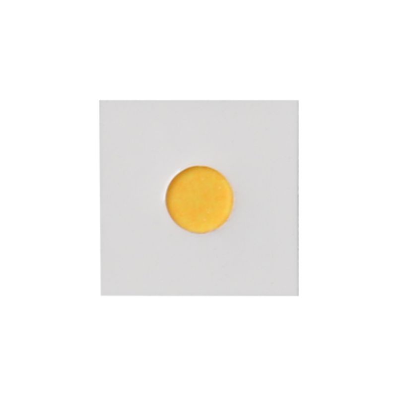 Đèn Pin Sân Khấu YINDING 5050 Chip Tròn Công Suất Cao 30W