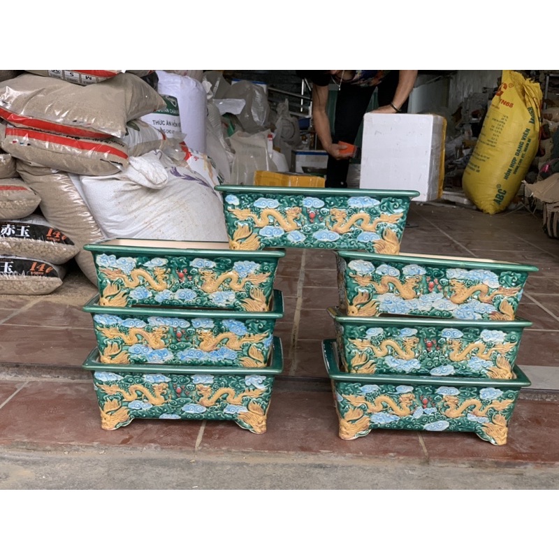 Chậu song long tranh ngọc