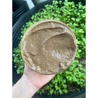 Tẩy Da Chết Cafe Sửa Dừa.