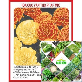Gói 50 hạt giống cúc vạn thọ pháp HAT F1