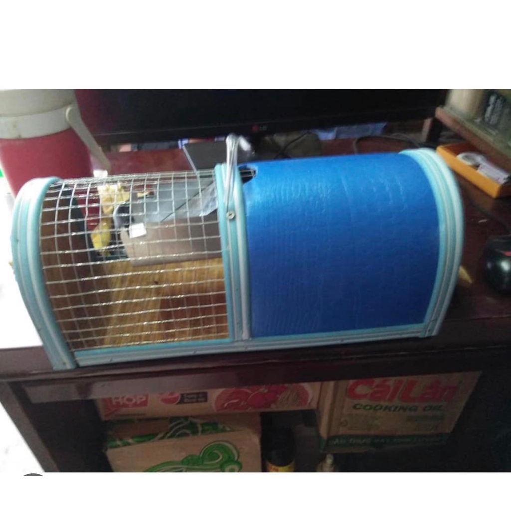 Bẫy lồng chuột thông minh