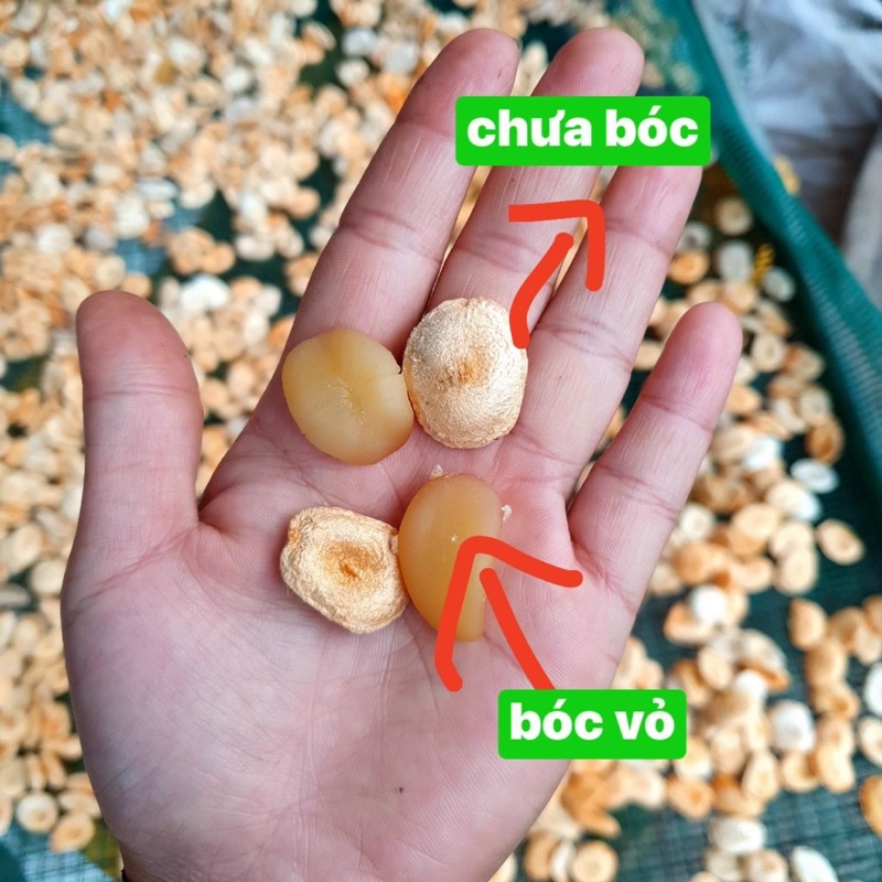 Hạt Sành Hay Còn Gọi Là Hạt Sang