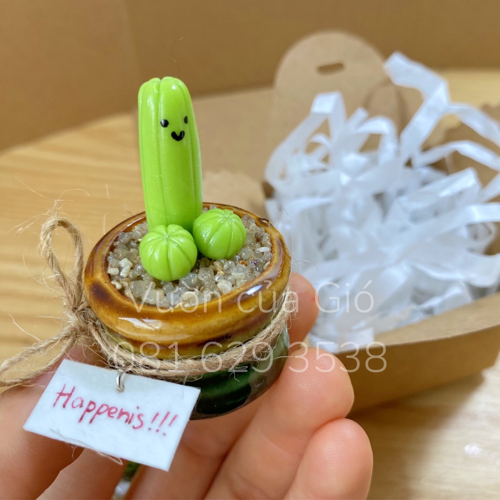 Quà tặng bạn trai, chậu xương rồng mini Cắc Tút