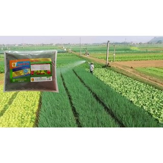 Combi Life Tiva | Combi vi lượng