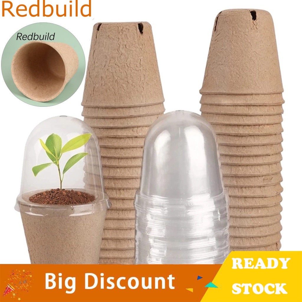 Bộ 10 Chậu Trồng Cây Bằng Giấy Có Mái Vòm Nhìn Xuyên Thấu