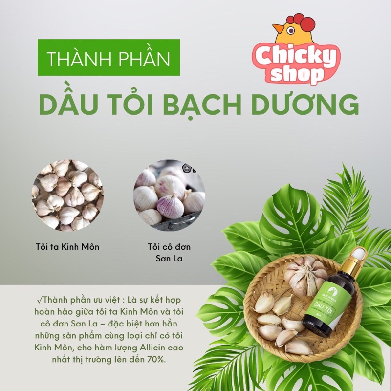 Dầu tỏi Dr.MAYA Bạch Dương