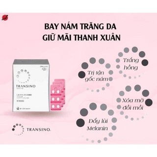 Transino trắng da mờ nám hộp 240v