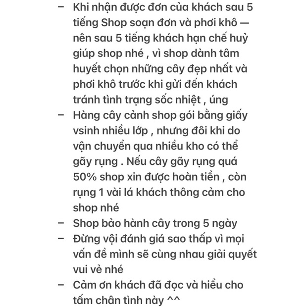 Sen Đá Cam - size Bầu  - Xả đất khi gửi ạ