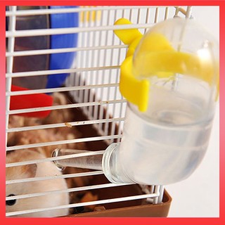 Bình đựng nước uống 60ml chống rò rỉ cho chuột hamster