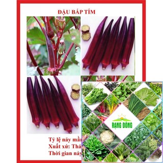 hạt giống đậu bắp tim 40 hạt HAT F1