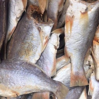 1kg cá ĐÙ To ngon, loại ngon