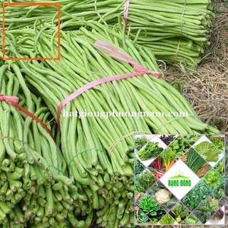 10GR - HẠT GIỐNG ĐẬU ĐŨA Hạt Giống Nông Trại Xanh THE GARDEN