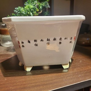 Chậu trồng cây bonsai