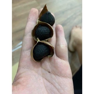 [Chính Hãng] Tỏi Đen Cô Đơn Tây Bắc ( Đặc Sản Vùng Cao )
