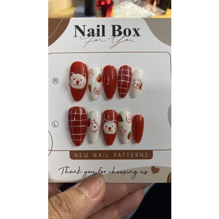 nailbox giá rẻ thiết kế