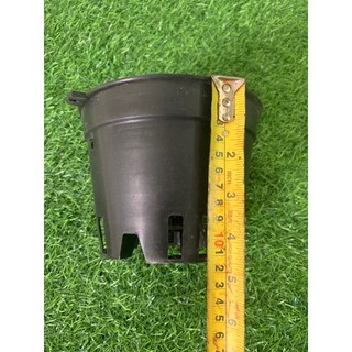 Chậu nhựa trồng lan (phi 16 ít lỗ set 20 cái)