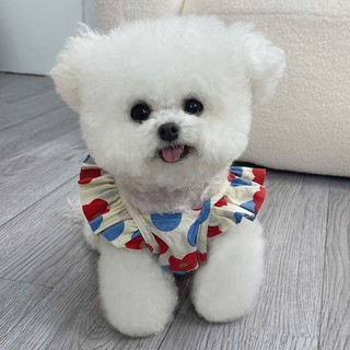 Đầm Cotton In Hoa Cho Thú Cưng