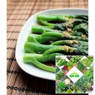 Gói 10 gram hạt giống cải ngồng mập