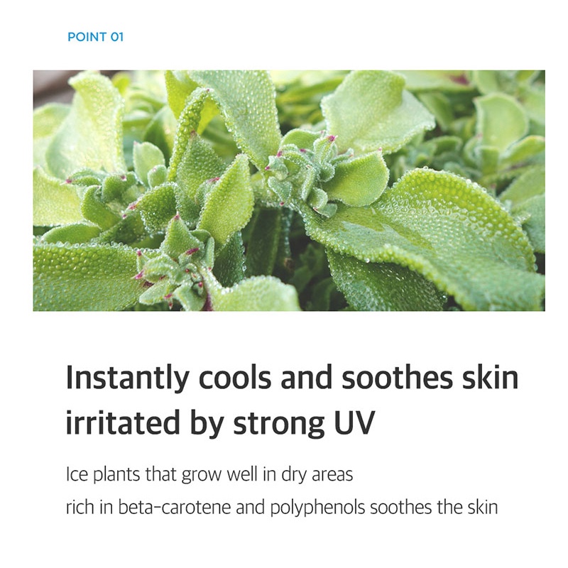 Kem Chống Nắng Isntree Hyaluronic Acid SPF50 + PA + + + + 22g