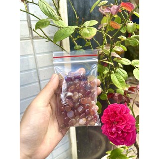 Đá vụn màu đỏ - Carnelian | CADA DECOR