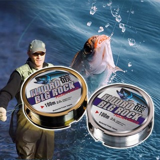 Cuộn dây câu cá 100m 0.165-0.552mm 7-55lbs chất lượng cao