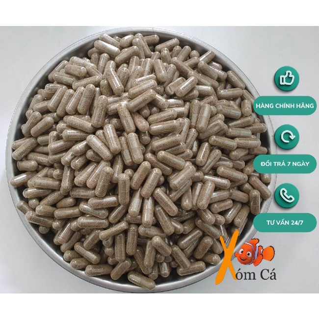 Viên Artemia Nước Ngọt - Con Giống BoBo Thái Siêu To